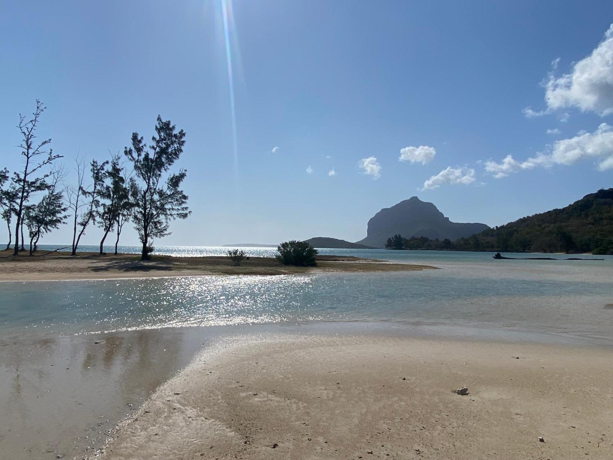 Lakaz Tropical Lejlighed Ruisseau Creole Eksteriør billede